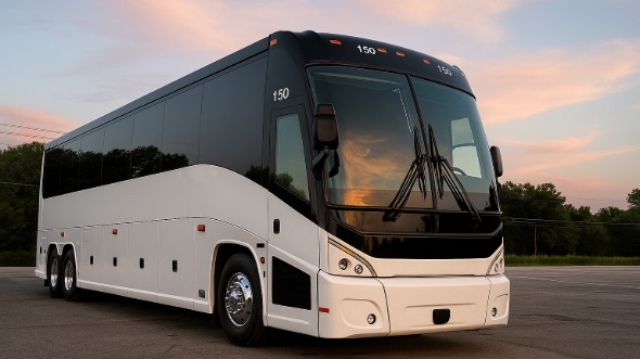 houston bachelor and bachelorette party bus rentals