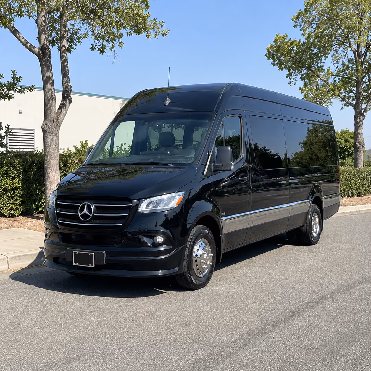 Pearland Wedding Transportation & Shuttle Service
